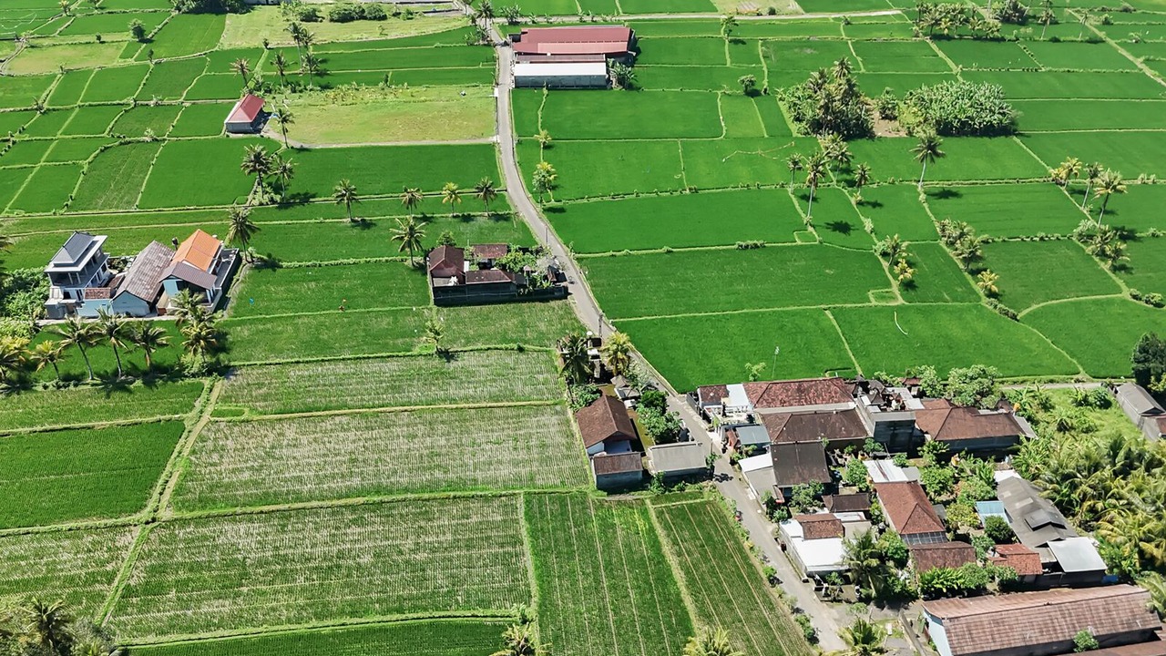 Photo of Others in Gianyar