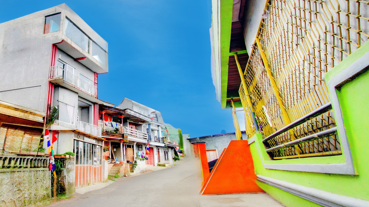 Photo of Outdoor in Kejajar