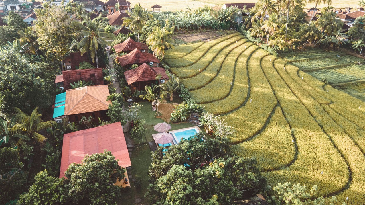 Photo of Livingroom in Kerambitan
