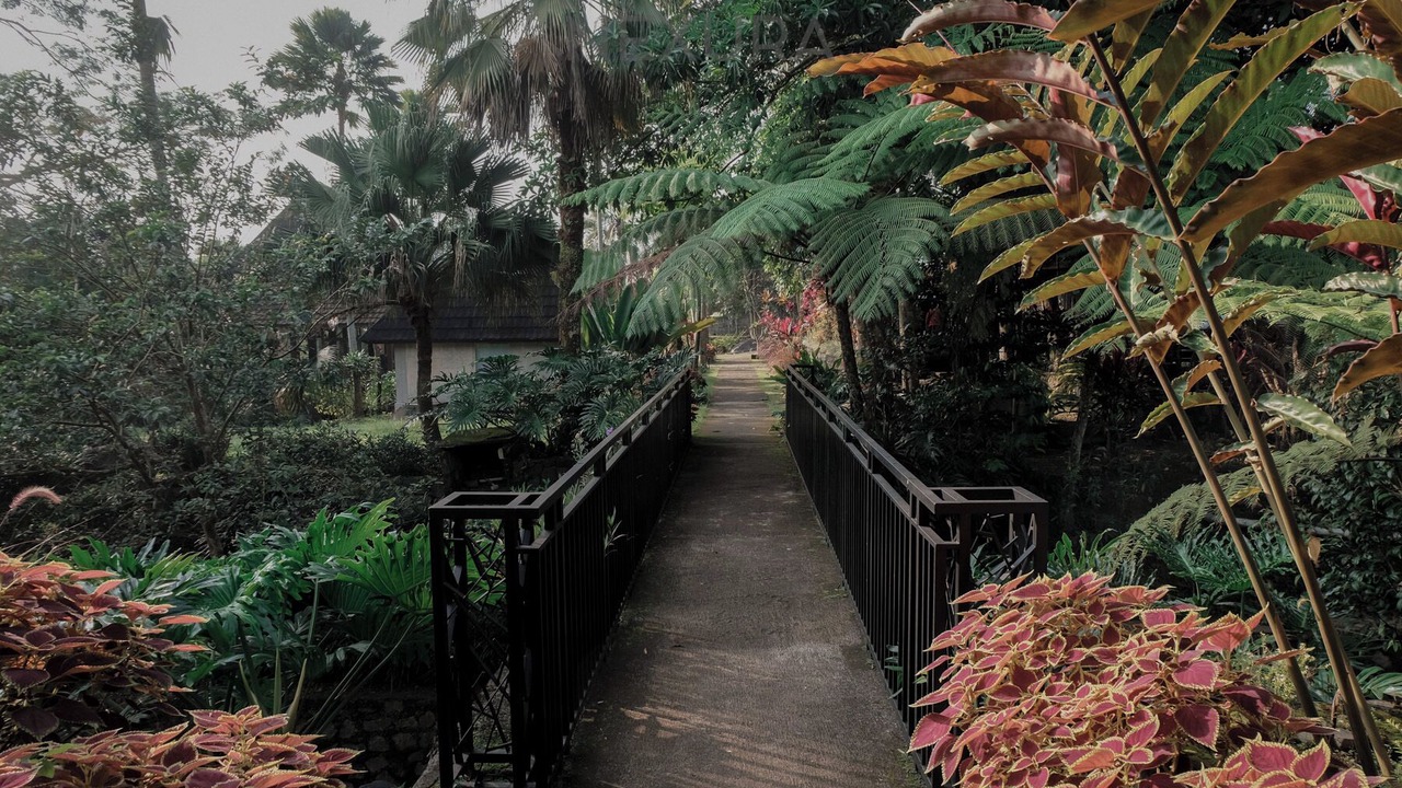 Photo of Outdoor in Parakan