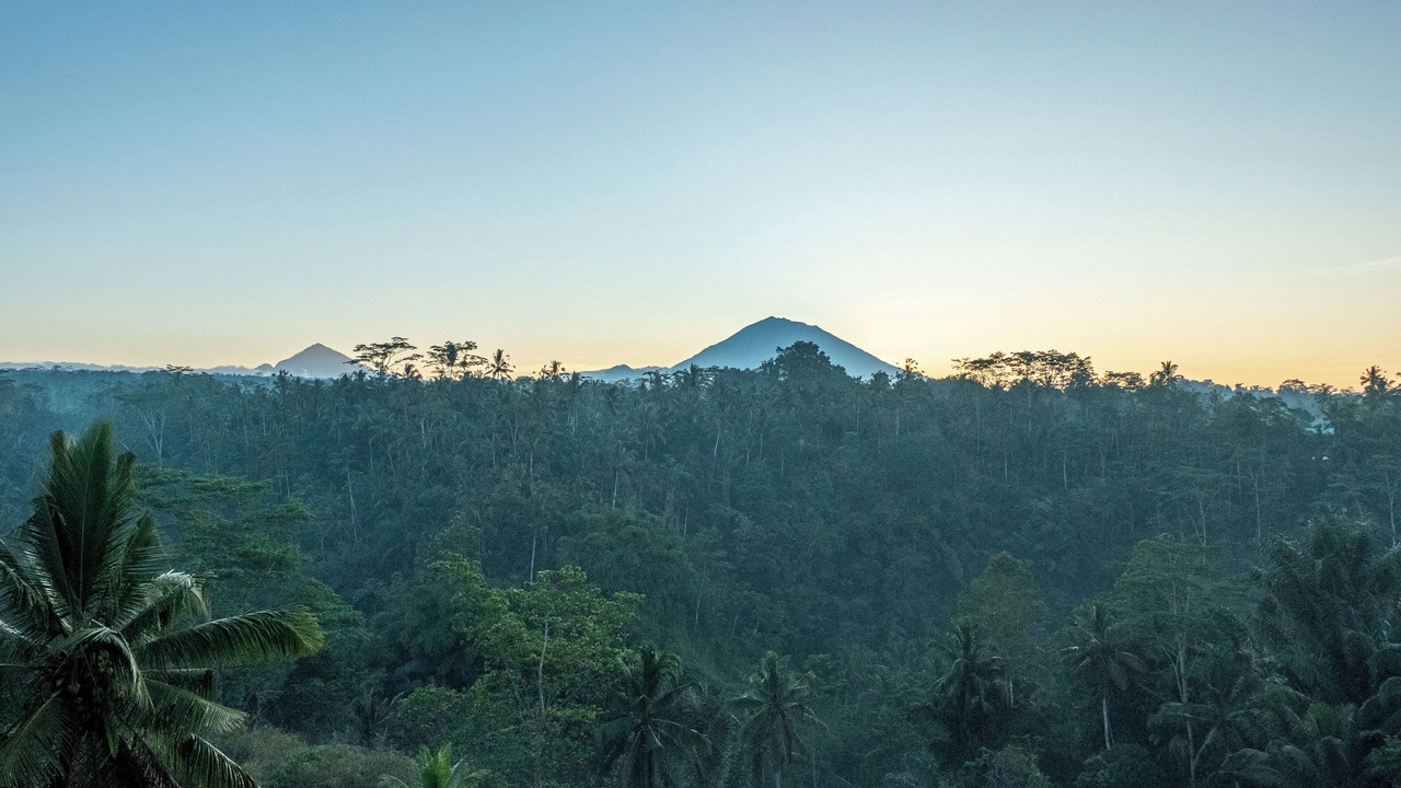 Photo of Outdoor in Sebatu