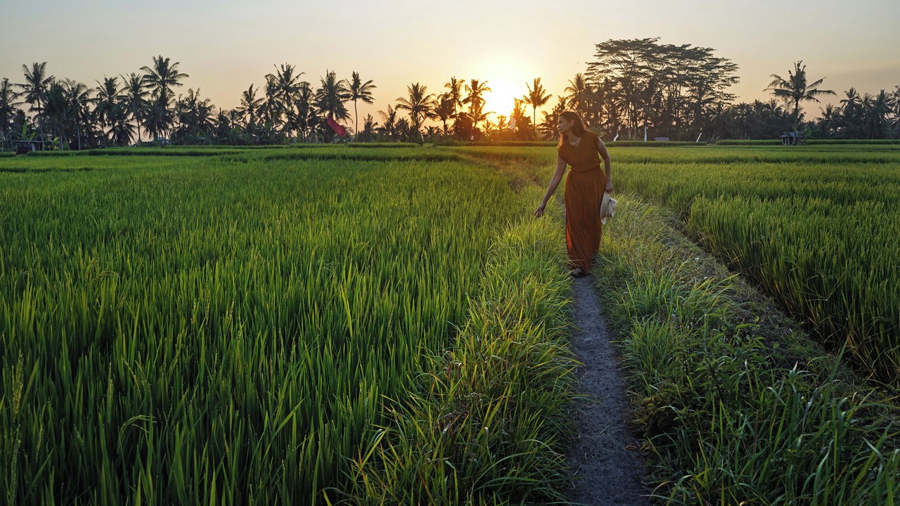 Photo of Others in Kemenuh
