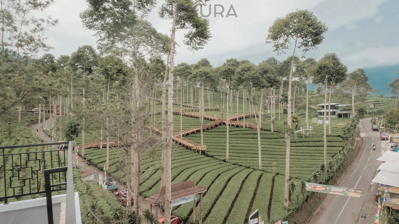 Photo of Others in Wonosobo