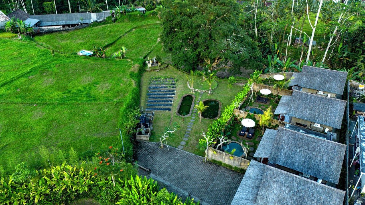 Photo of Outdoor in Sebatu