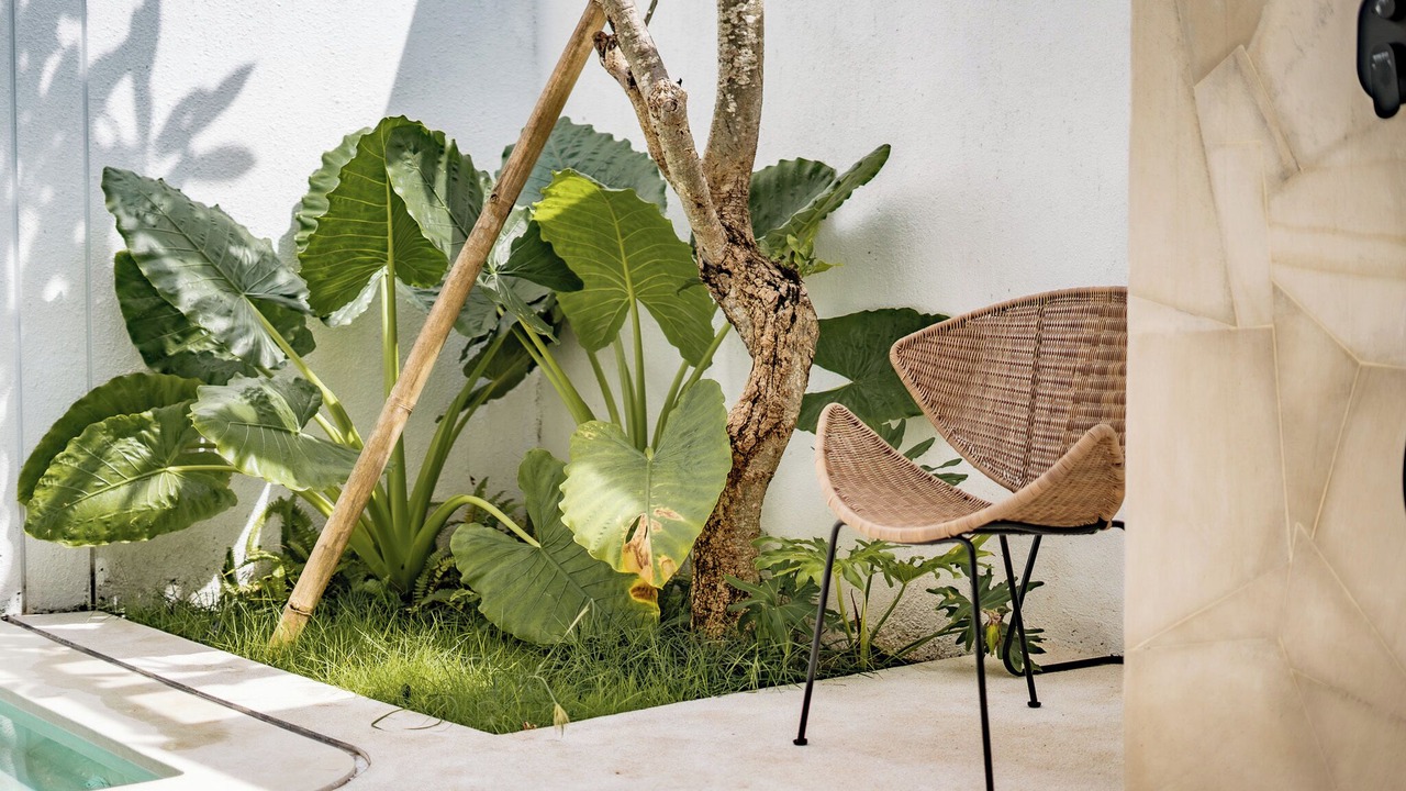 Photo of Outdoor in Uluwatu