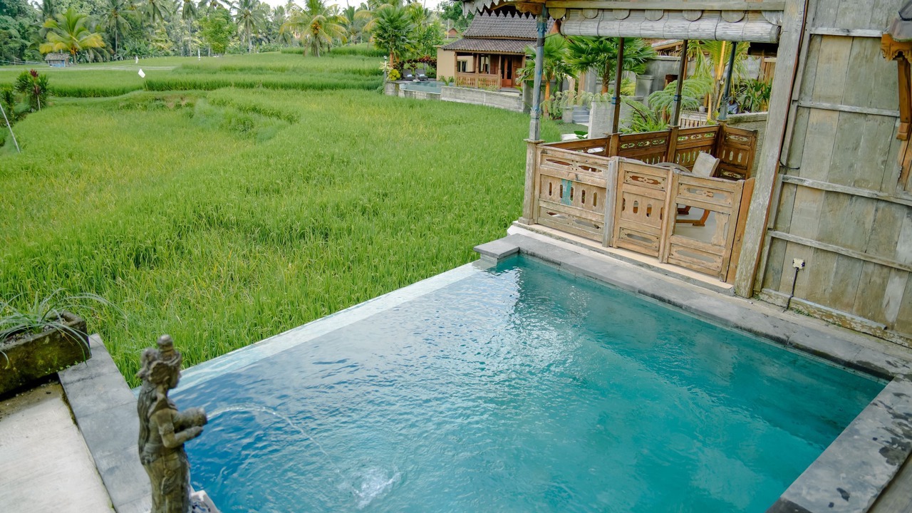 Photo of Outdoor in Sebatu