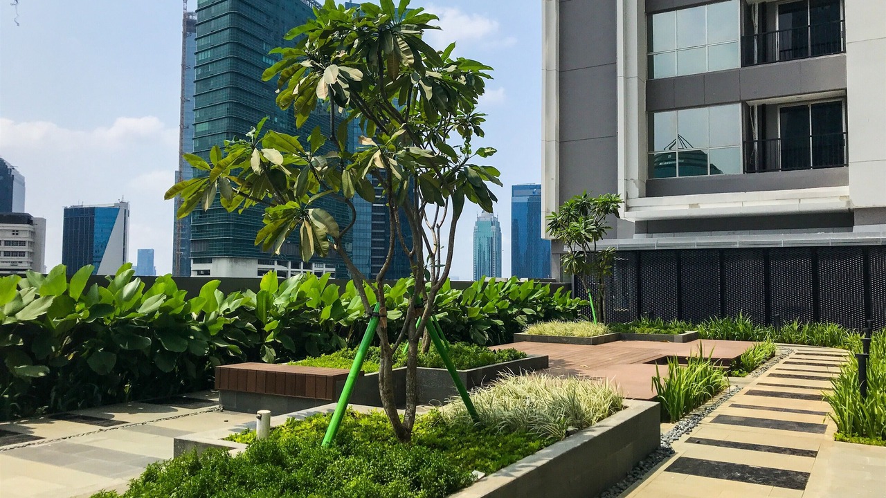 Photo of Outdoor in Semanggi