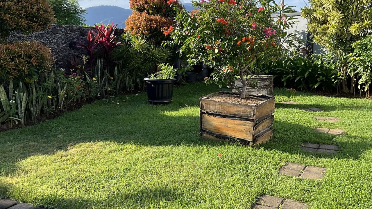 Photo of Outdoor in Culik