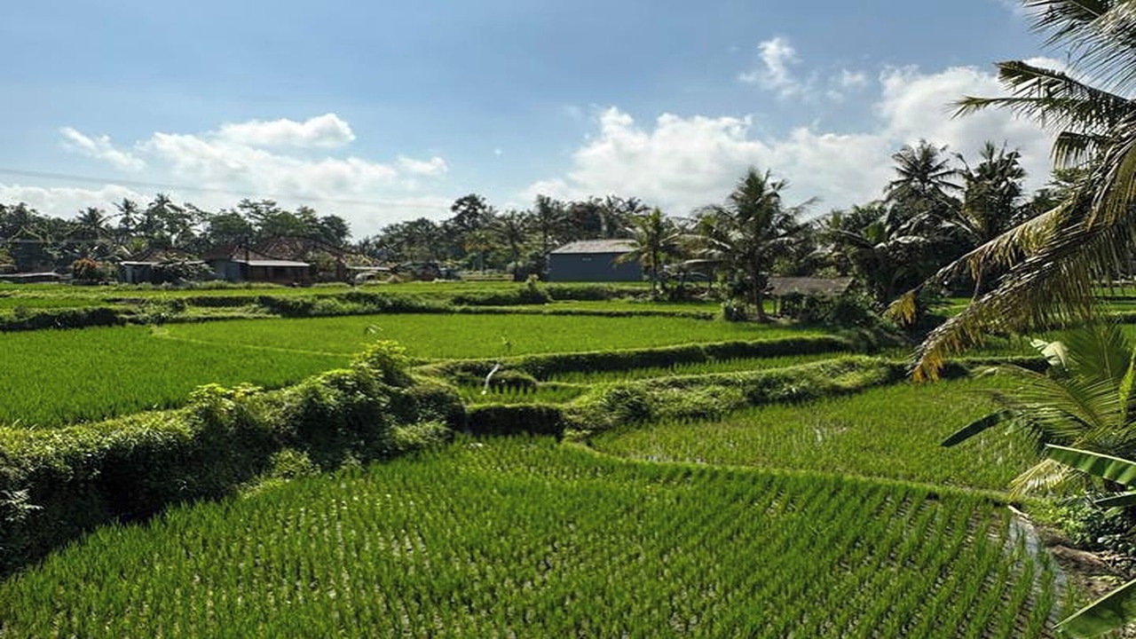 Photo of Outdoor in Melayang