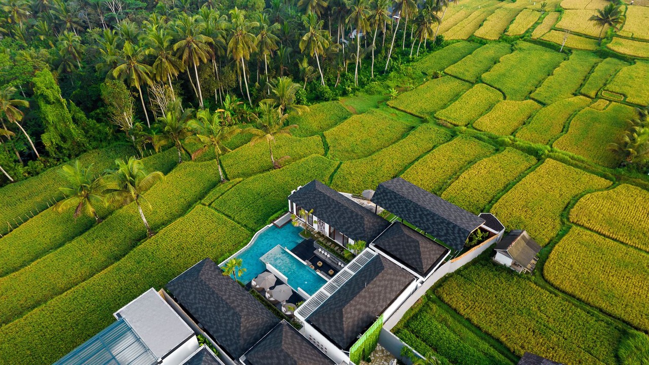 Photo of Outdoor in Pejeng Kawan