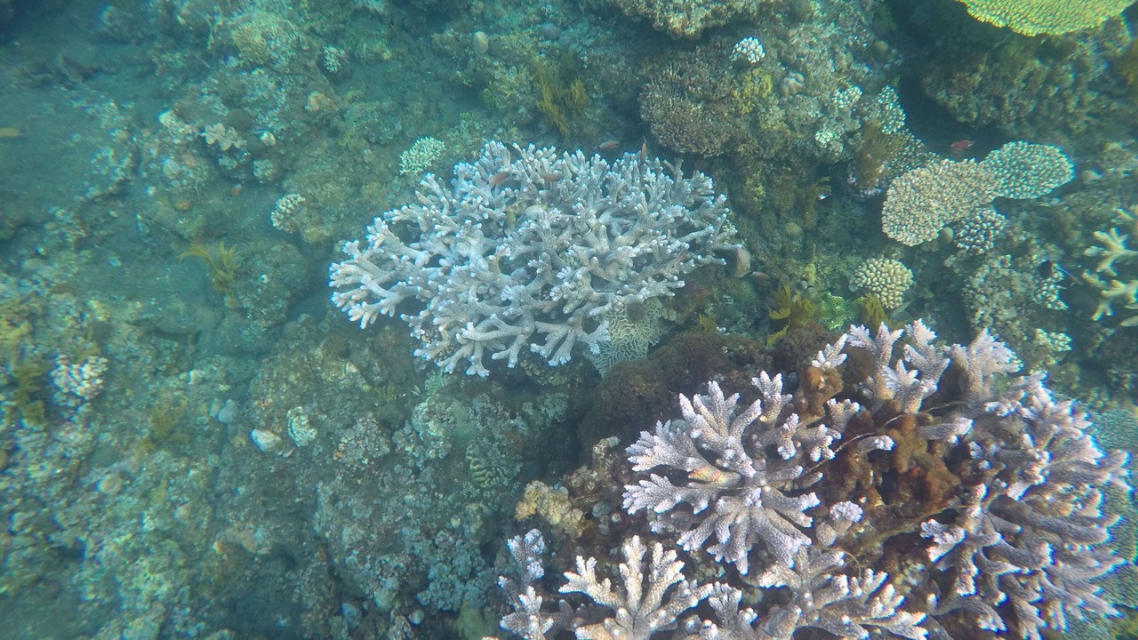 Photo of Outdoor in Songan