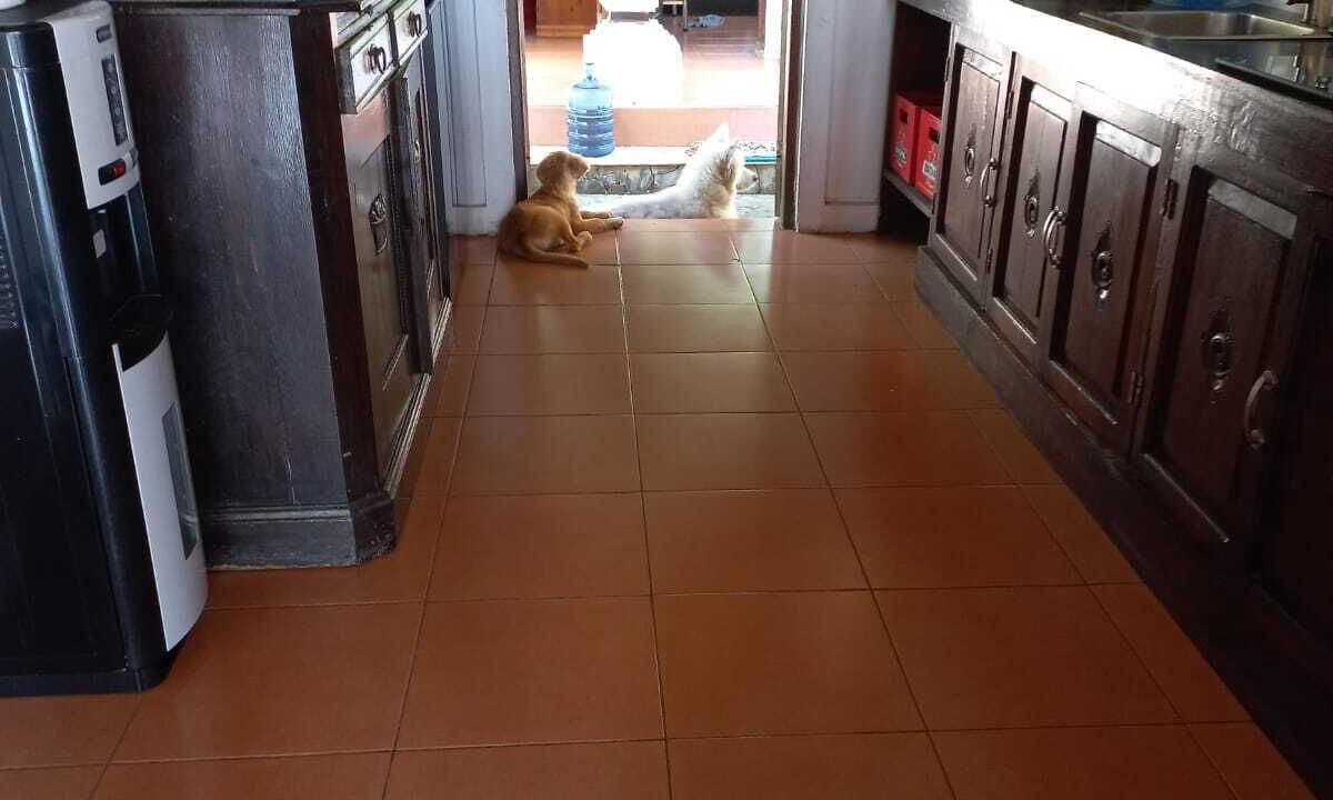 Photo of Kitchen in Songan