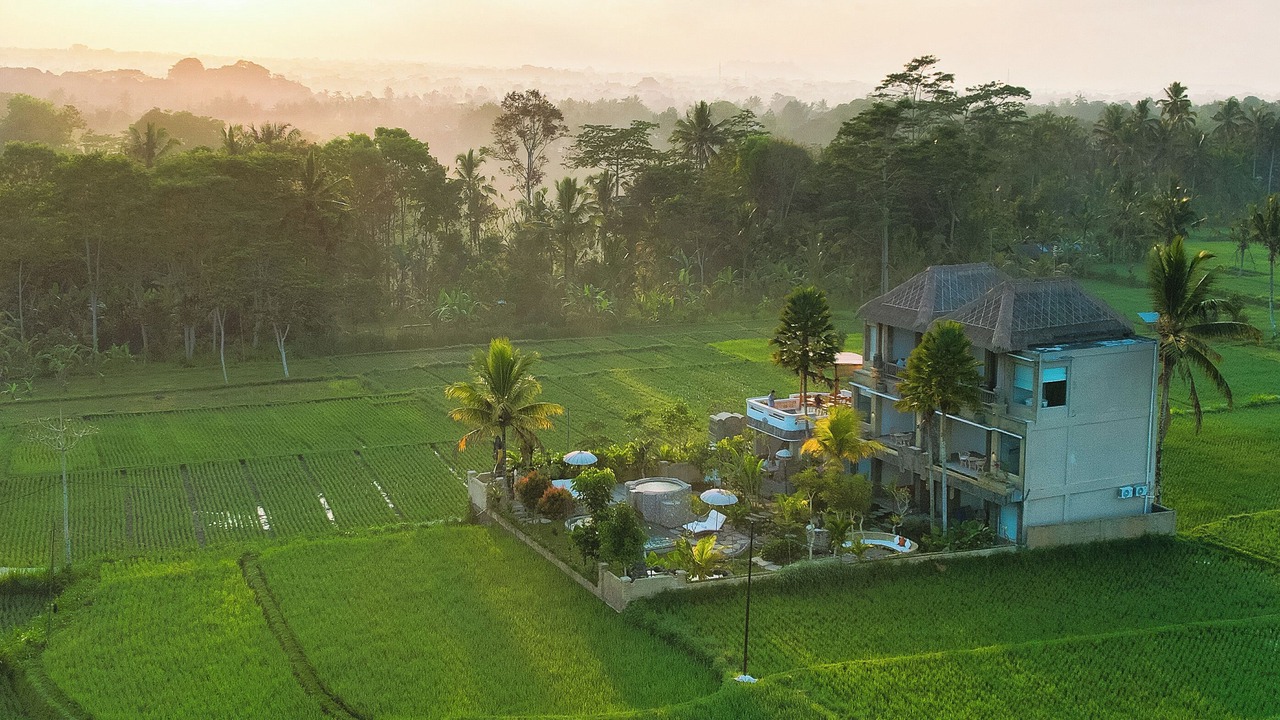 Photo of Outdoor in Taro