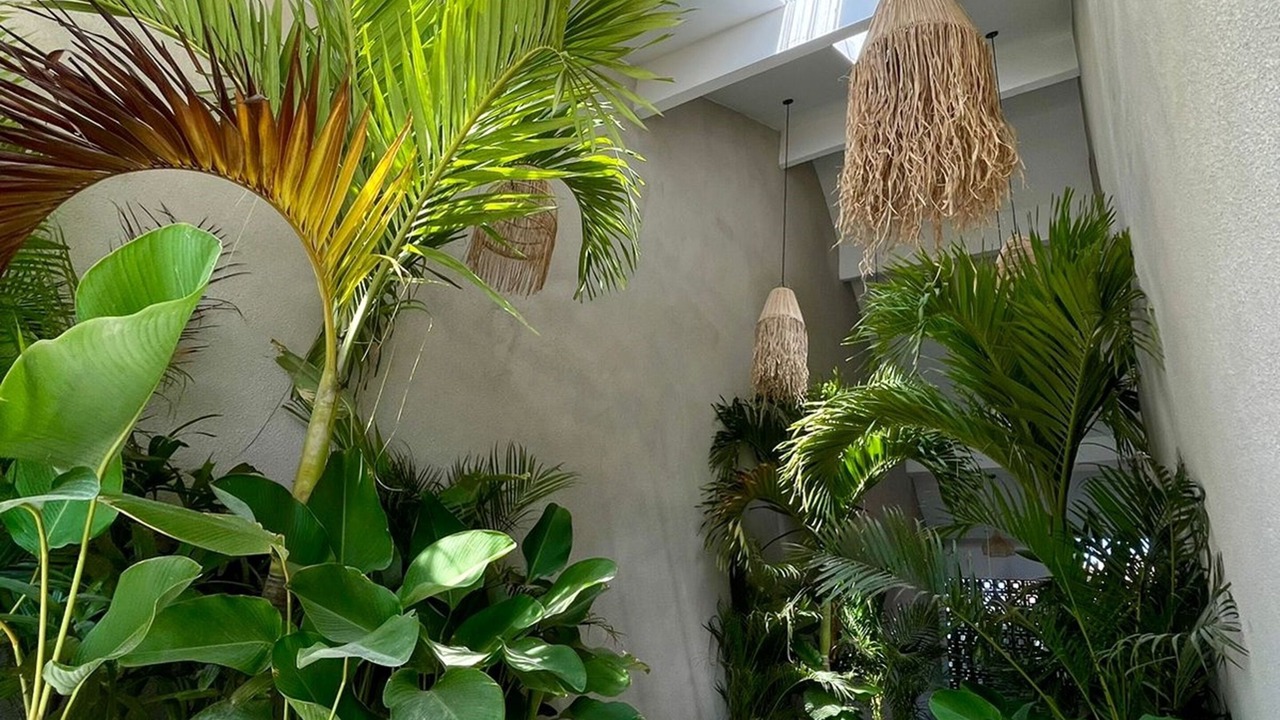 Photo of Outdoor in Sanur Kauh