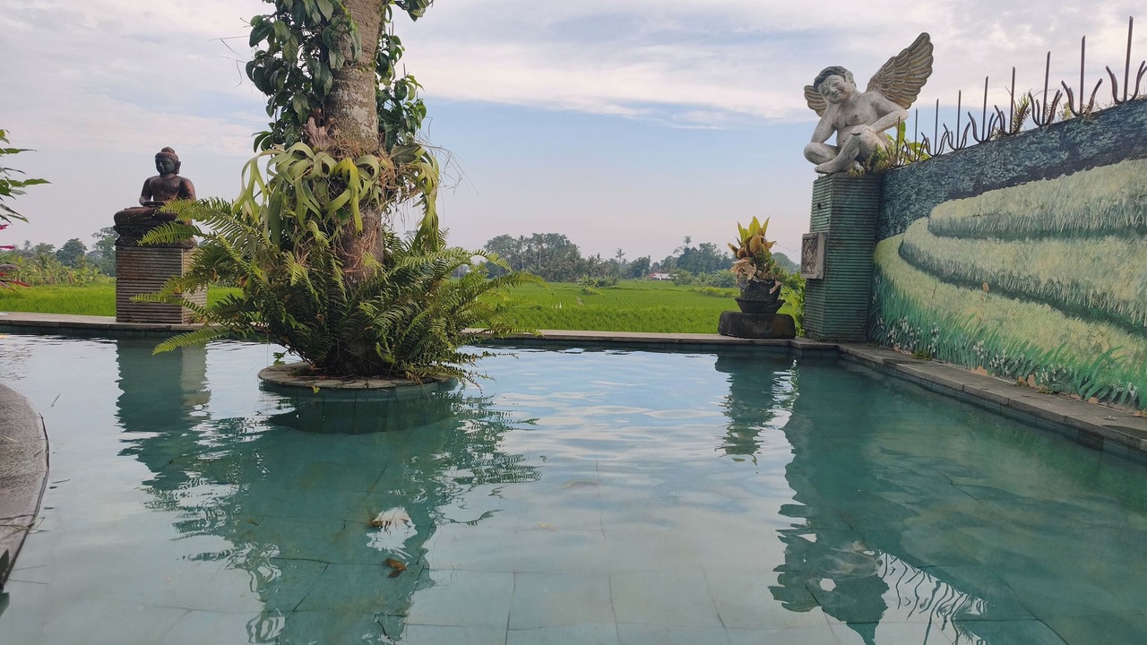 Photo of Outdoor in Pejeng Kawan