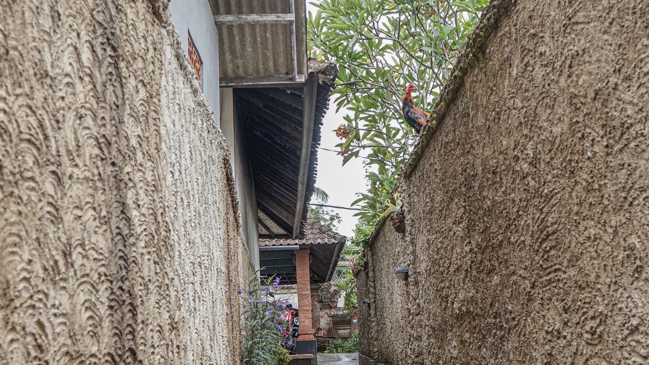 Photo of Outdoor in Melayang