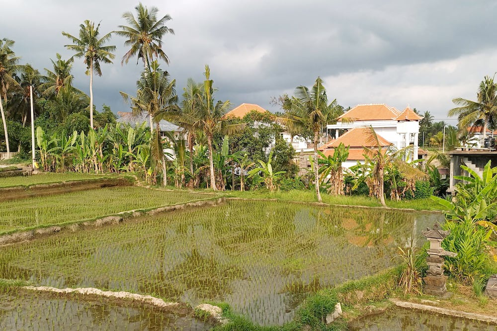Photo of Outdoor in Pejeng Kawan