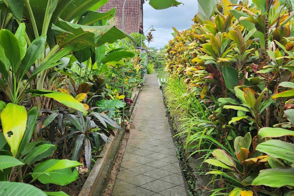 Photo of Outdoor in Pejeng Kawan