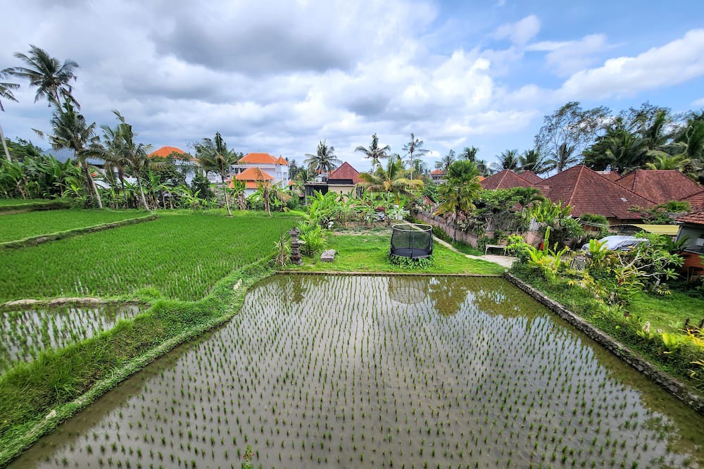 Photo of Outdoor in Pejeng Kawan