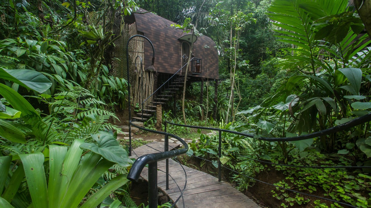 Photo of Outdoor in Payangan