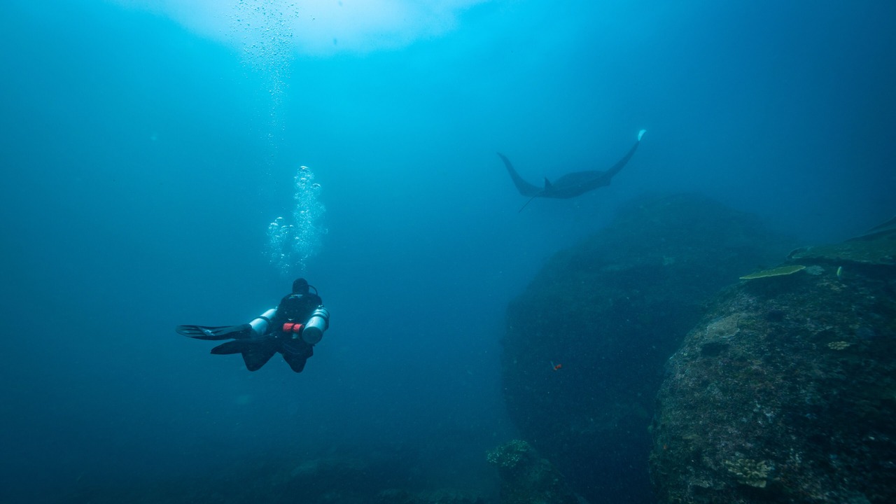 Photo of Outdoor in Penida Island