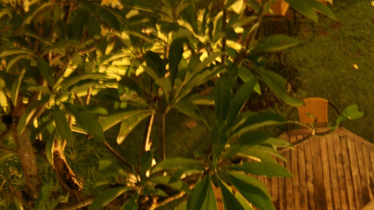 Photo of Patio Balcony in Sidakarya