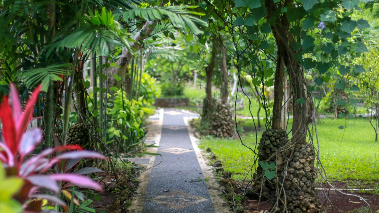 Photo of Outdoor in Pecatu