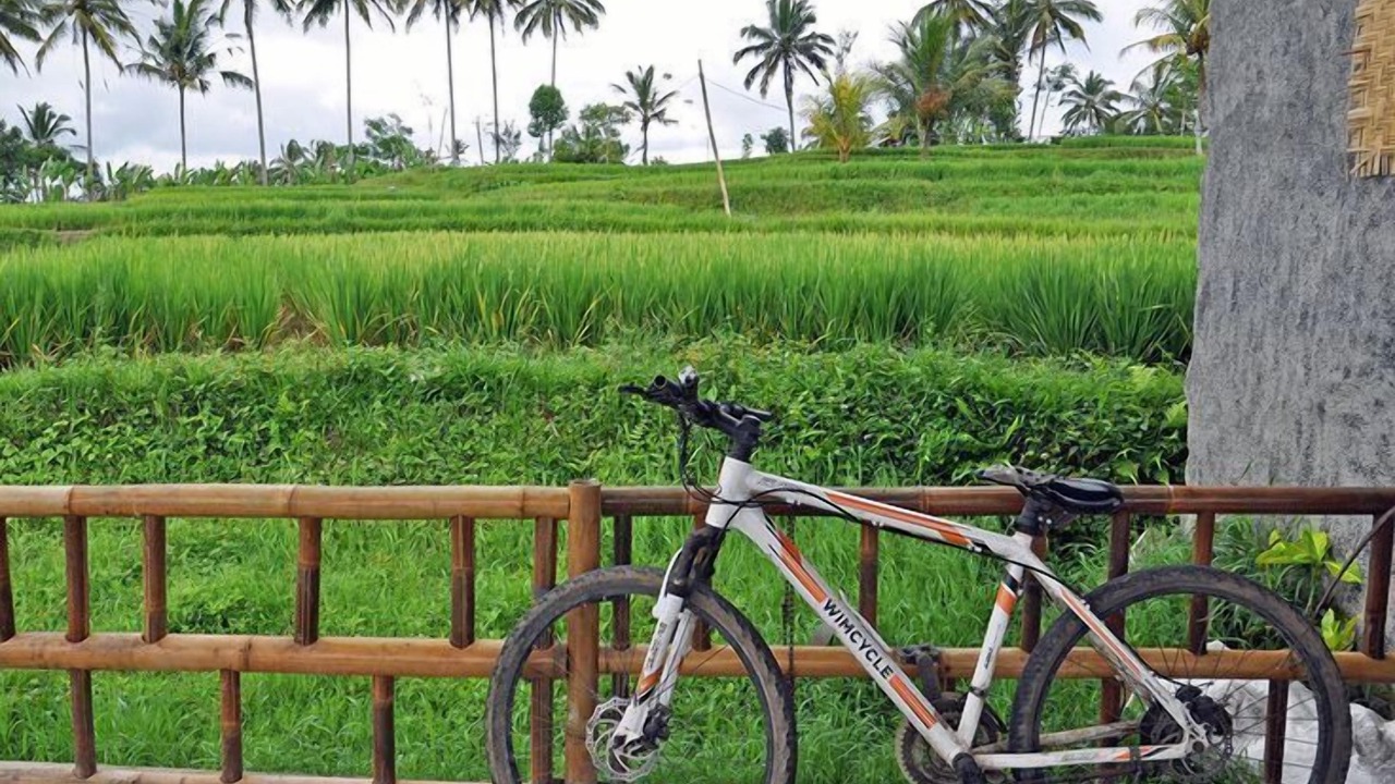 Photo of Outdoor in Peliatan