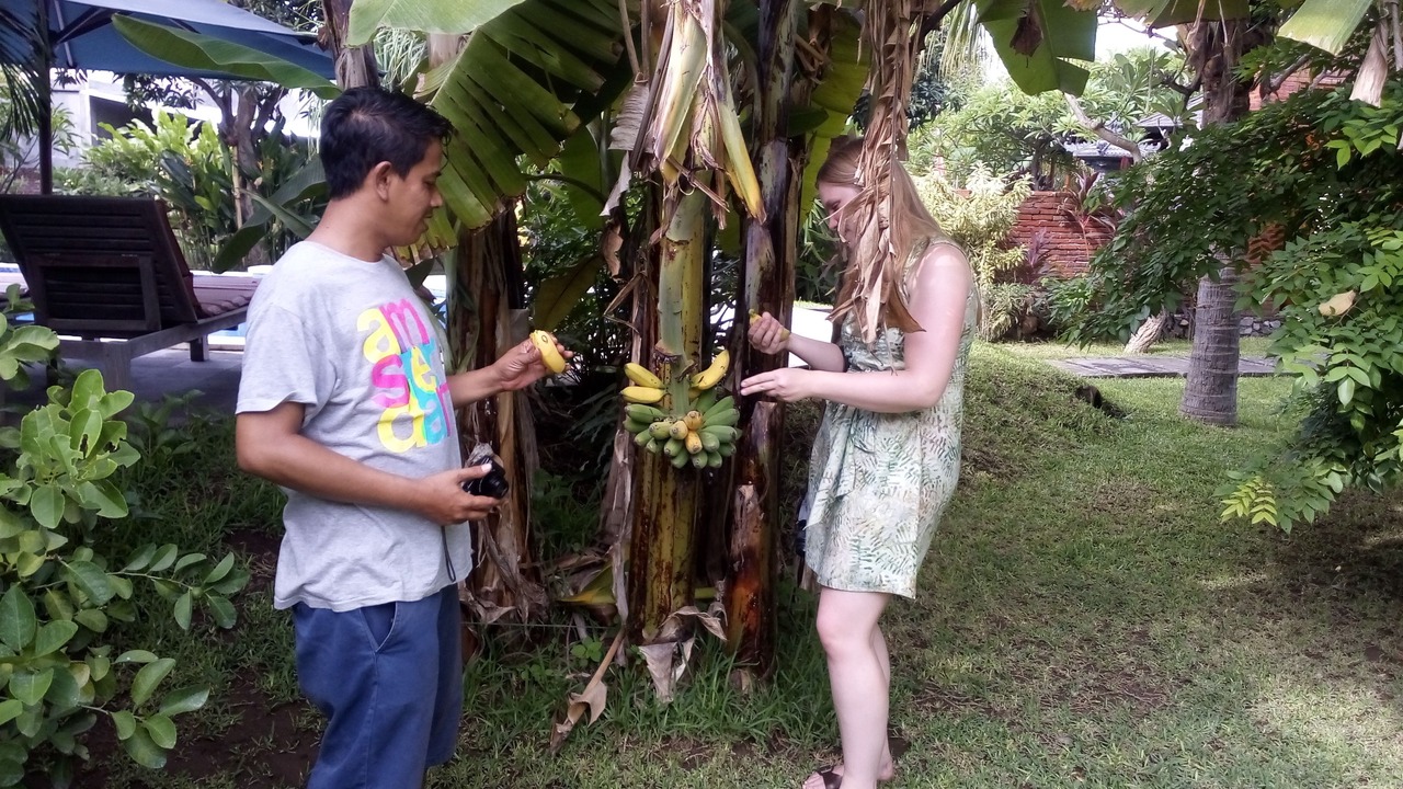 Photo of Others in Pemuteran