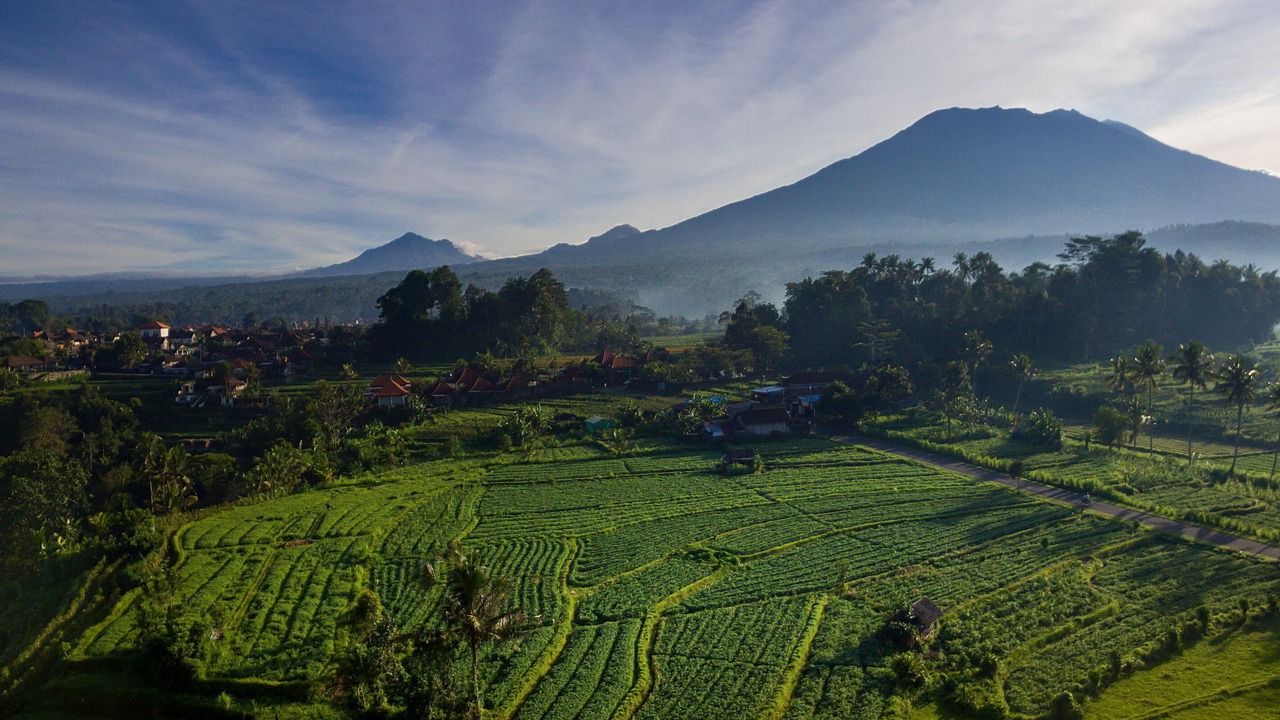 Photo of Outdoor in Selat