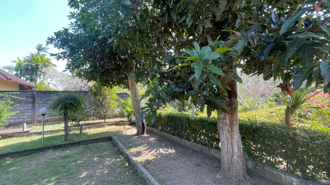 Photo of Outdoor in Negara