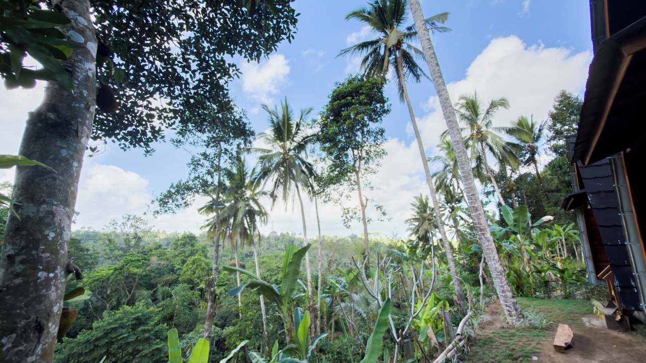 Photo of Outdoor in Carangsari