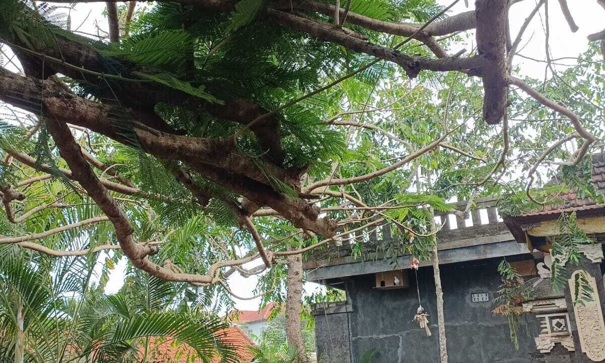 Photo of Outdoor in Ungasan