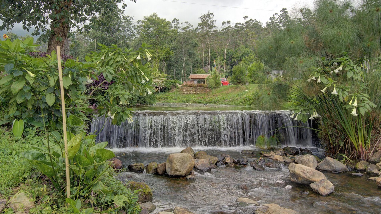 Photo of Others in Rancabali