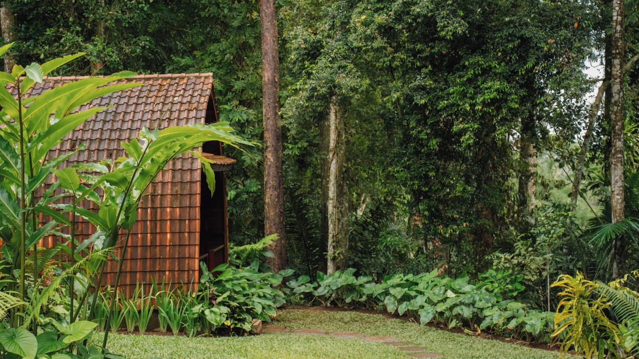 Photo of Outdoor in Payangan
