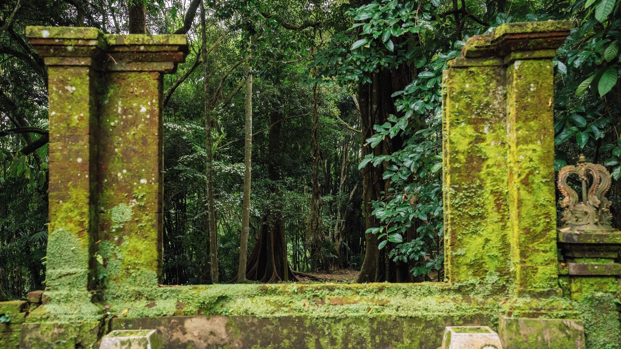 Photo of Outdoor in Payangan