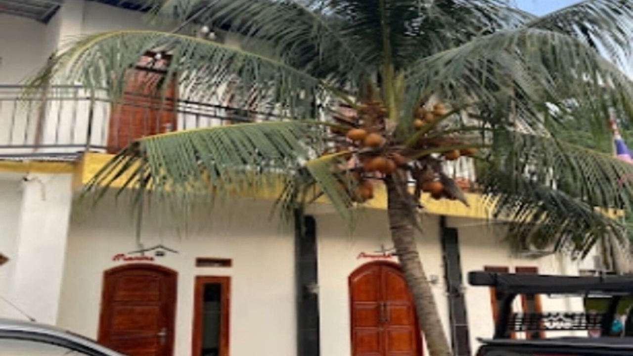 Photo of Outdoor in Rajabasa