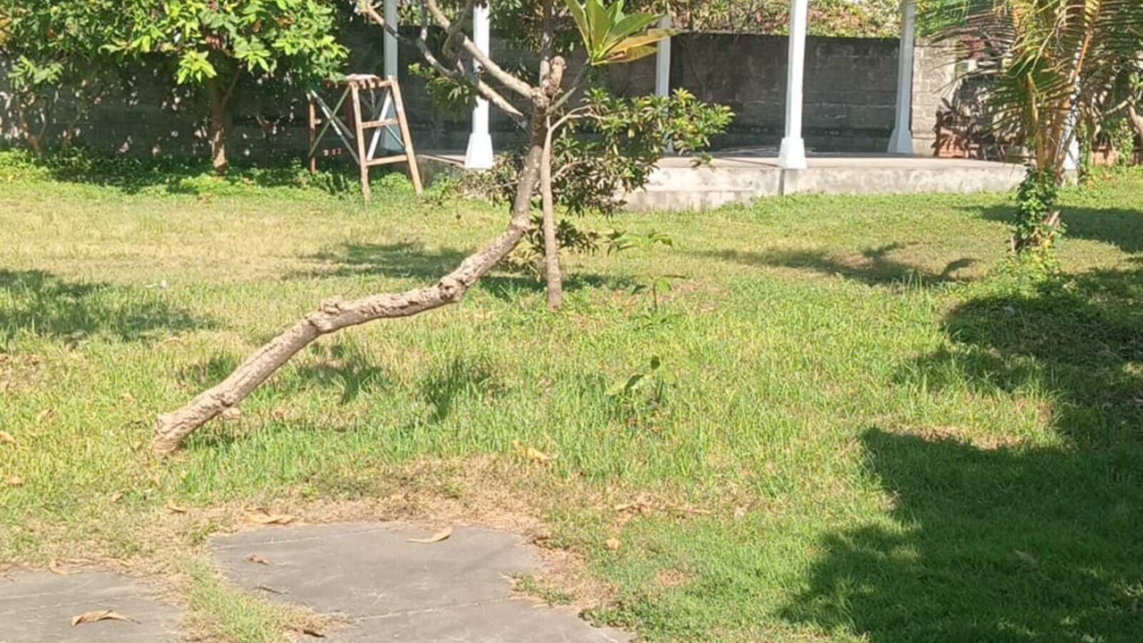 Photo of Outdoor in Tukad Mungga