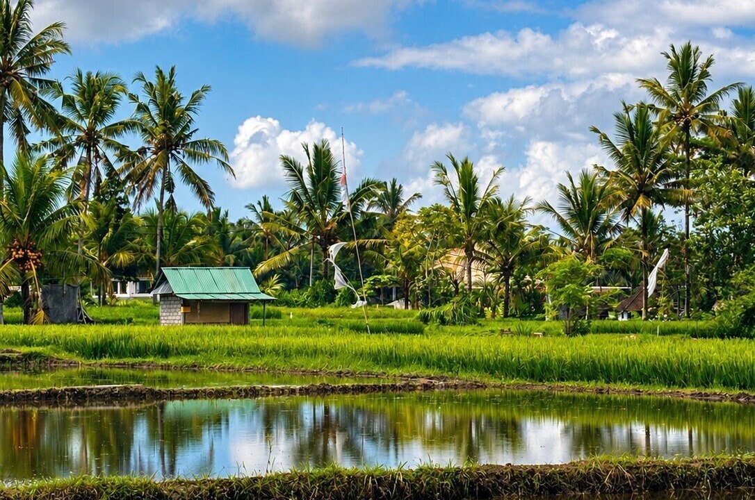 Photo of Outdoor in Sambahan