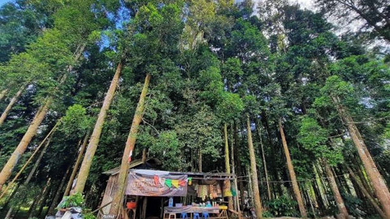 Photo of Outdoor in Pasirjambu