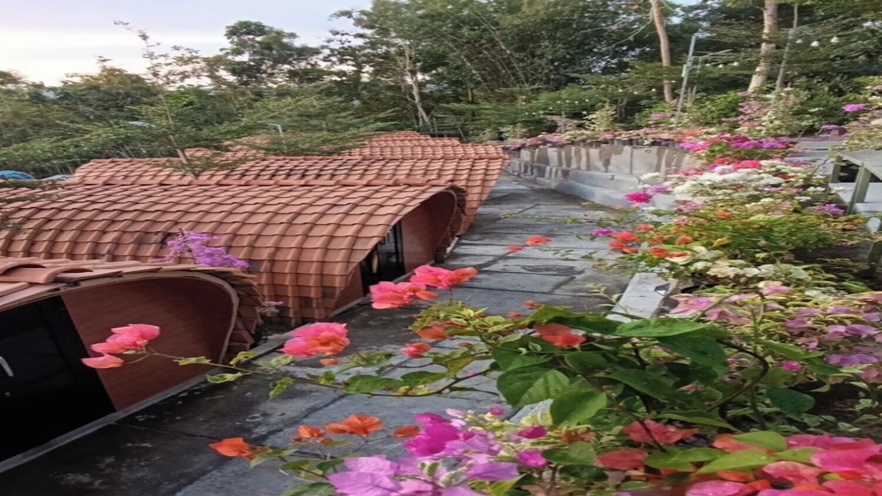 Photo of Outdoor in Patuk