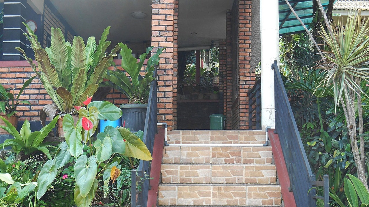 Photo of Others in Cilobak