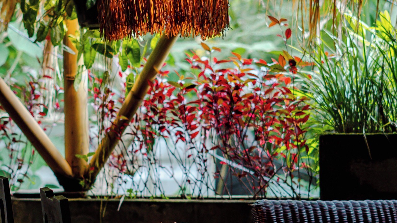 Photo of Others in Ubud