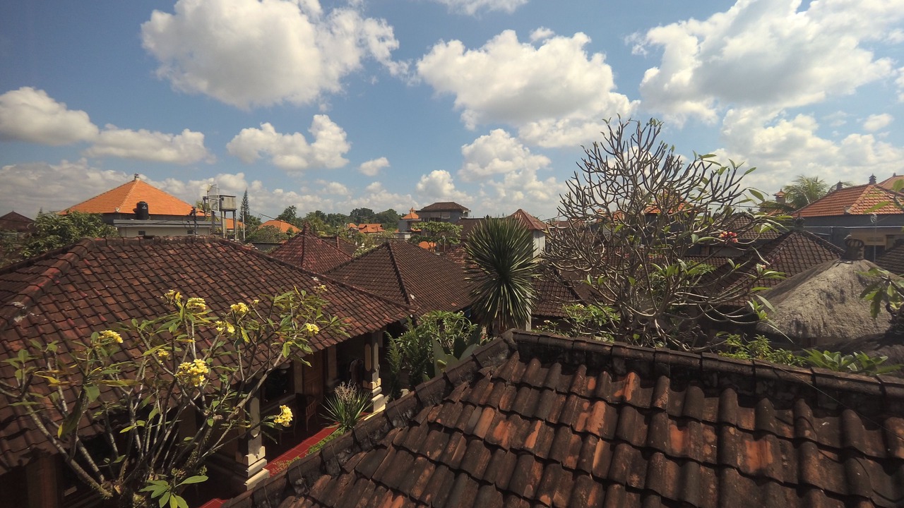 Photo of Others in Ubud City-Centre