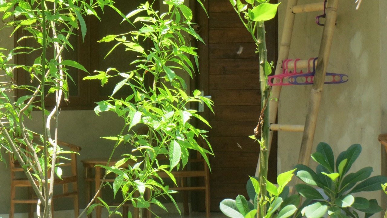 Photo of Patio Balcony in Purwakerti
