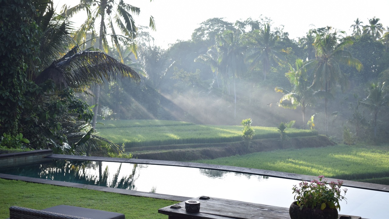 Photo of Outdoor in Tegallalang