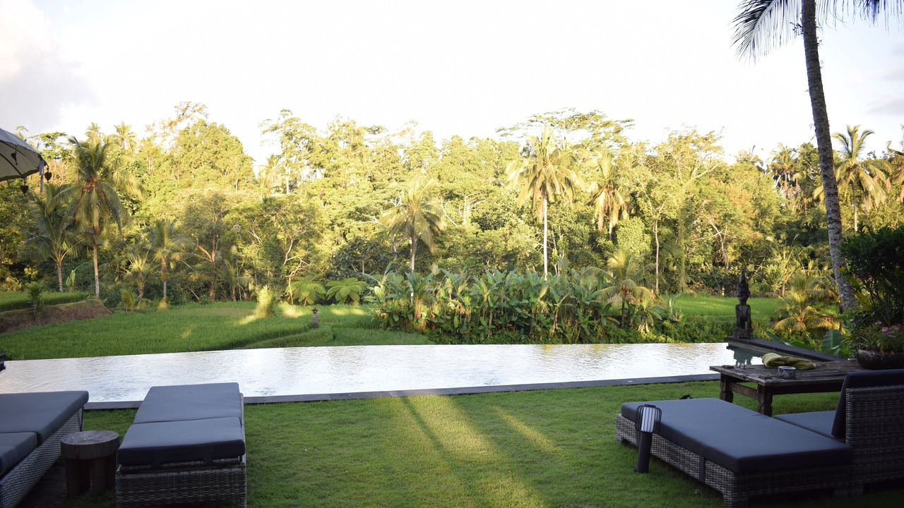 Photo of Outdoor in Tegallalang
