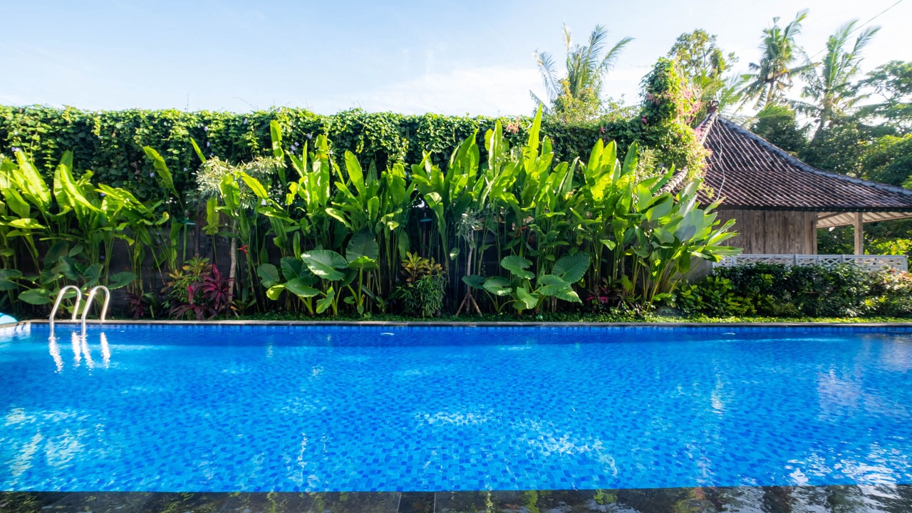 Photo of Outdoor in Mas