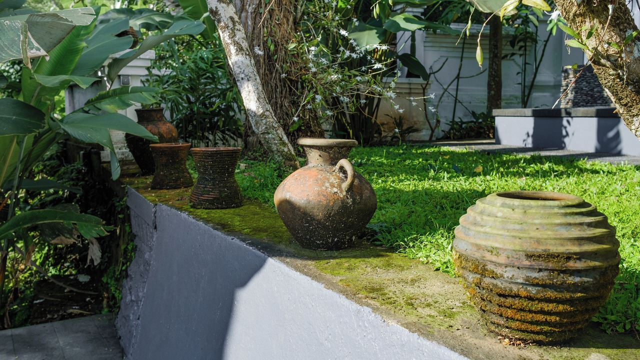 Photo of Outdoor in Sambahan