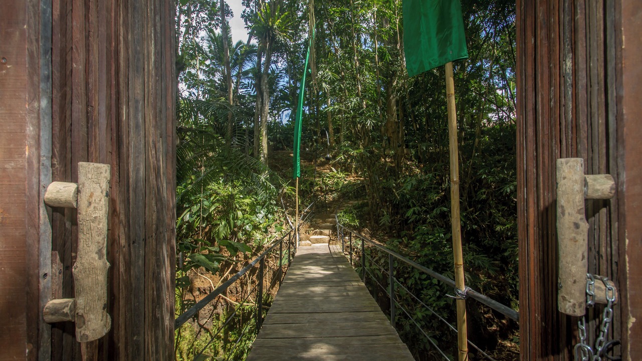 Photo of Outdoor in Payangan